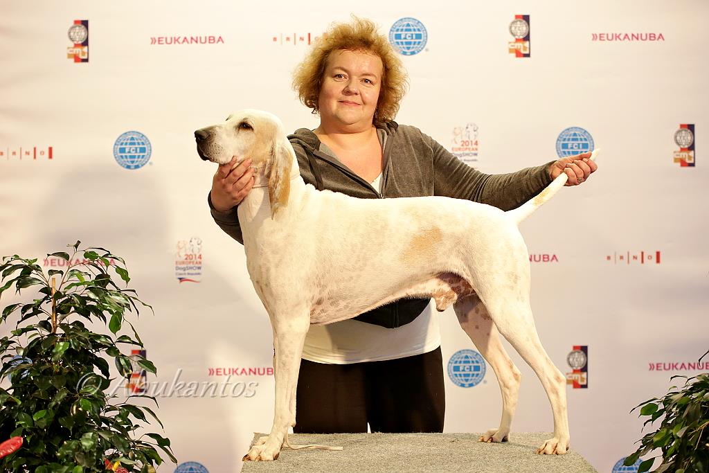 Porcelaine
